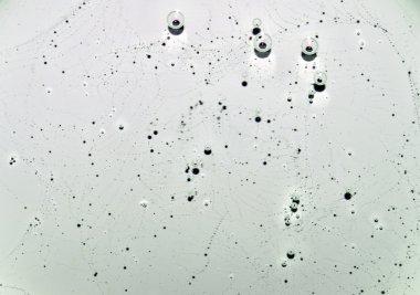 Beyaz şeffaf sıvı doku desenleri ve kabarcıklar ile. Beyaz temiz su kabarcıkları ile. Portre