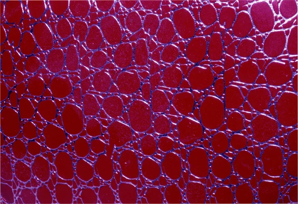 Texture in rilievo rosso con motivi circolari e venature blu. La consistenza della pelle, la consistenza del vetro. Primo piano — Foto Stock