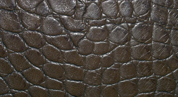 Dark brown texture of natural leather, with a large round pattern. Leather texture. Closeup — Stock Photo, Image