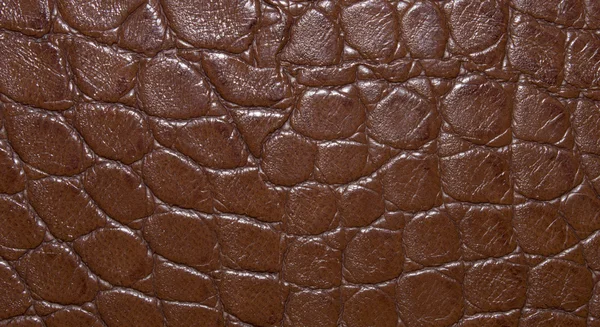 Texture marron de cuir naturel, avec un grand motif rond. Texture cuir. Gros plan — Photo