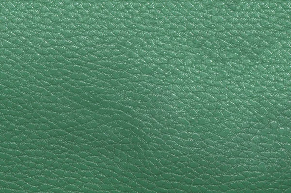 Light green skin, streaked. Leather texture. Closeup — Stock Fotó