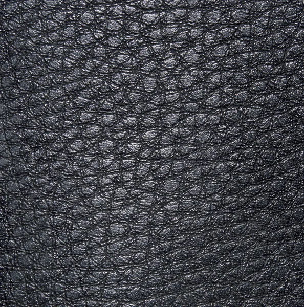 Light black skin, with figures of irregular shape and veins. Leather texture. Closeup — 스톡 사진