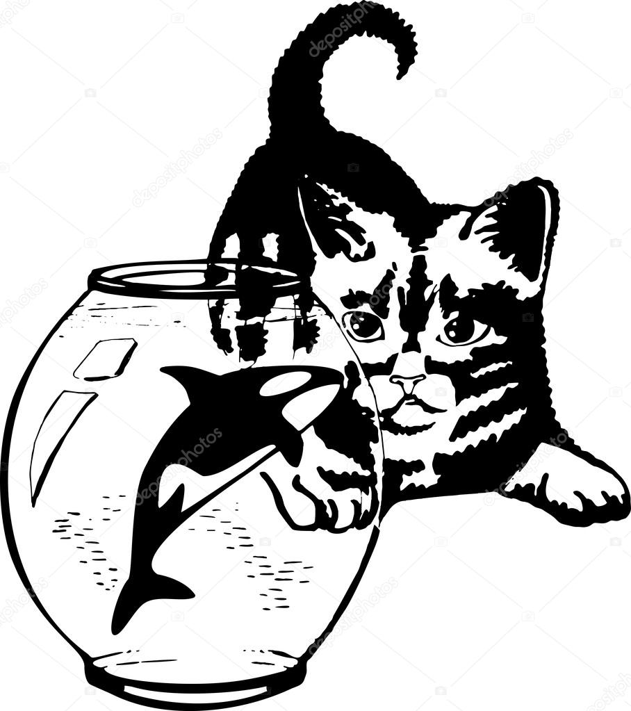 Disegno astratto bianco e nero Gattino osserva l acquario in cui nuota una