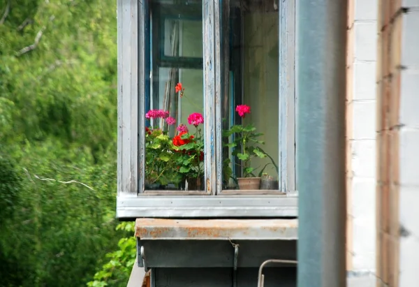 带鲜花的老俄罗斯阳台 — 图库照片