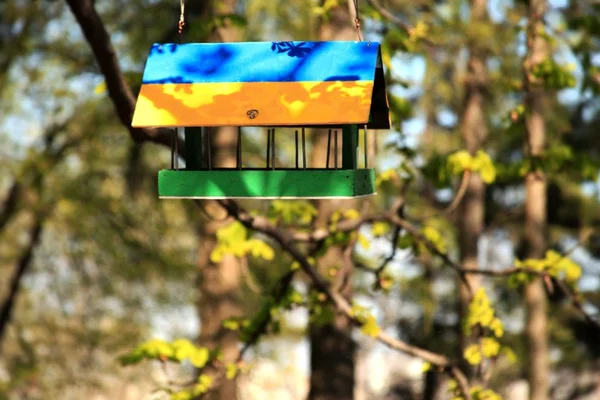 Ljusa birdfeeder fågel hus hängande — Stockfoto