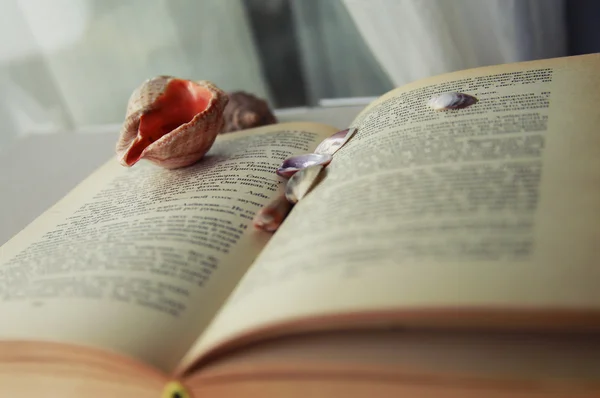 Libro aperto con conchiglie — Foto Stock