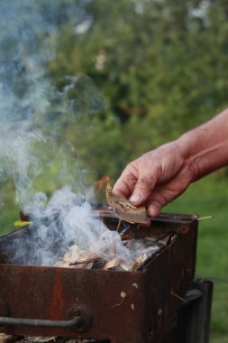 Bir erkek el altında bir kamp ateşi başlatmak için çıra ahşap parça tutar.