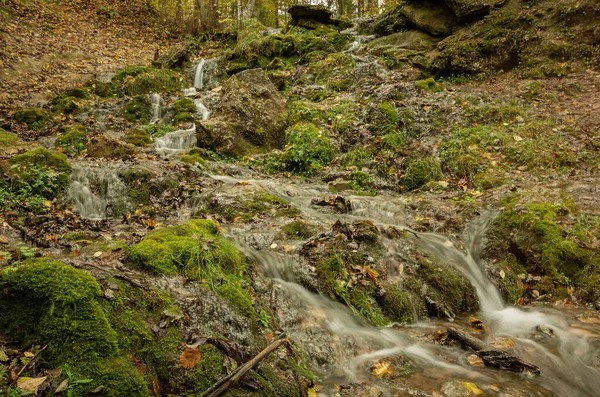 Jesienny Las Wiele Opadłych Liści Wodospad Woda — Zdjęcie stockowe