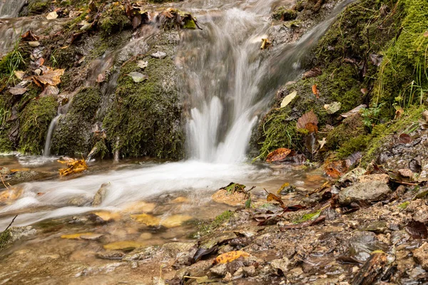 Wodospad Jesienią Opadającymi Liśćmi Dużo Wody Mchu — Zdjęcie stockowe