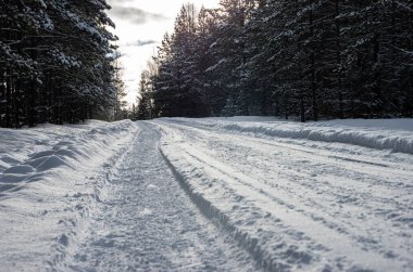 Karlı kış, yollu orman, beyaz