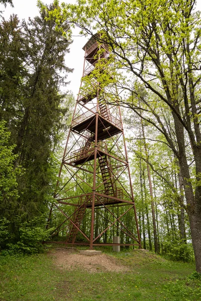 Büyük gözlem kulesi insanların doğayı izlemesi için uygundur, yeşil