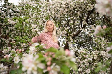 Sarışın kadın elma çiçekleriyle poz veriyor, pembe renk, şanslı.