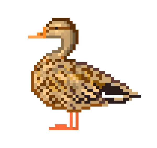 Pixel arte pato ilustração —  Vetores de Stock