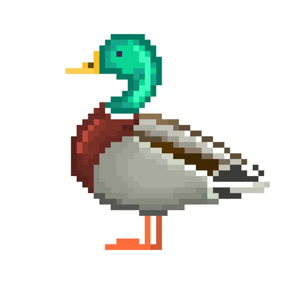 Pixel arte drake, macho selvagem pato ilustração —  Vetores de Stock