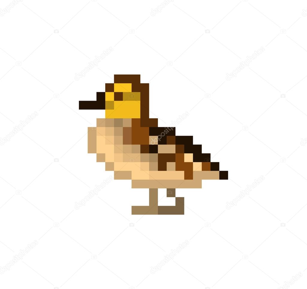 Pixel art duckling. Baby duck standing on the ground. Stock Vector ...