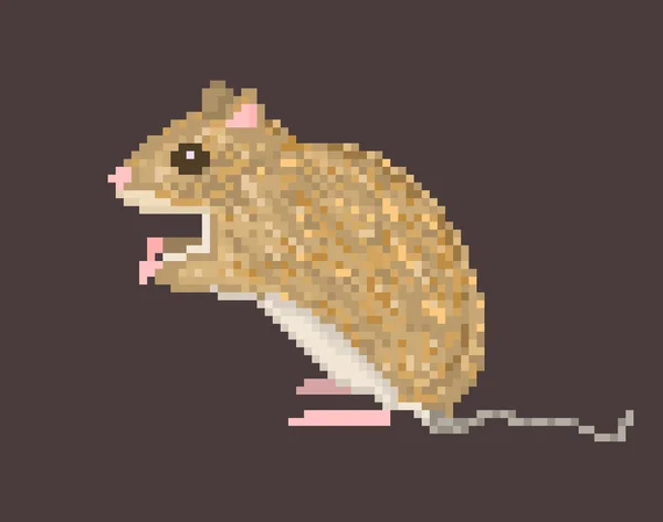 Pixel arte sentado mouse campo marrom ou vole prado —  Vetores de Stock