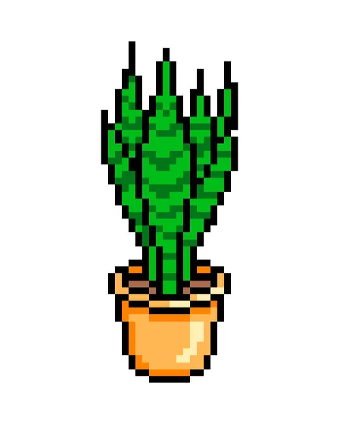 Sansevieria Dans Pot Orange Icône Pixel Art Isolé Sur Fond Illustration De Stock