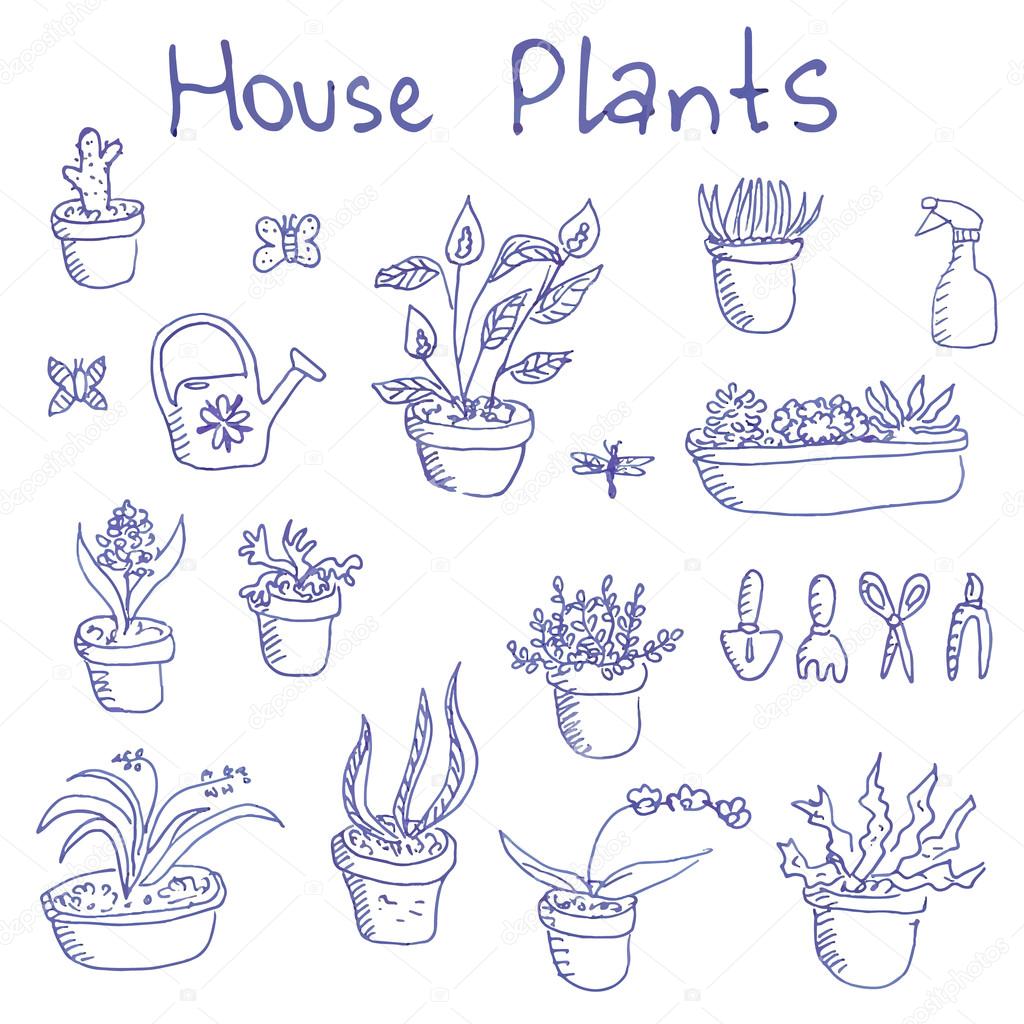 라이너 펜 손으로 그린 낙서 개요 houseplants 및 정원 도구 큰 세트 스톡 벡터 - ©ksuperksu 69481355, image size:1024x1024
