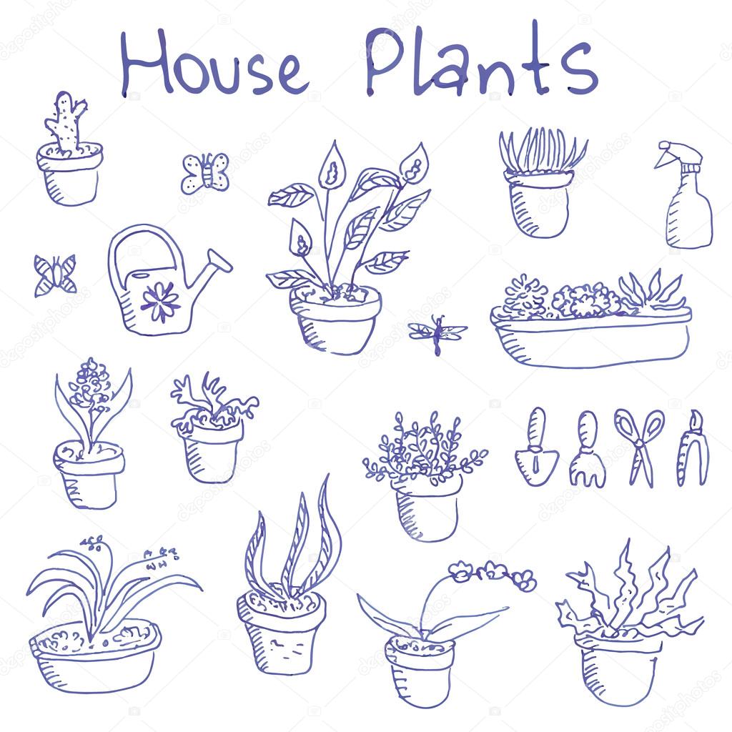 Big set of liner pen hand-drawn doodle outline houseplants and garden tools