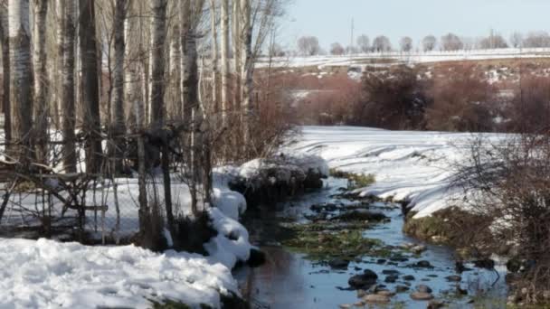Sníh a potok v údolí. Blíží se jaro — Stock video