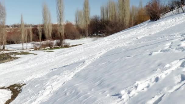Pokryte śniegiem wzgórze w oddali widać drzewa — Wideo stockowe
