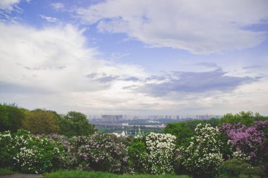 Kyiv 'deki botanik bahçesinden görüntü