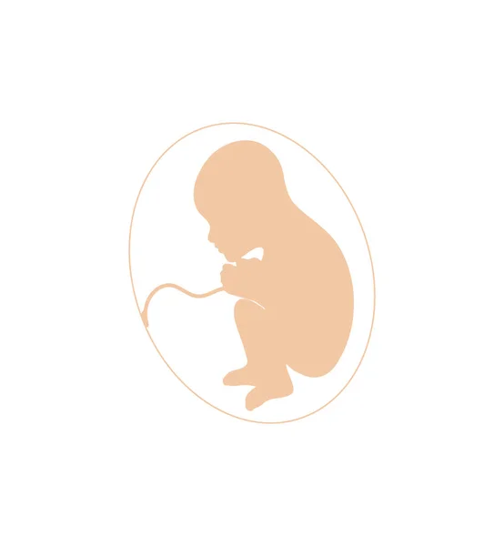 Baby Mutterleib — Stockvektor