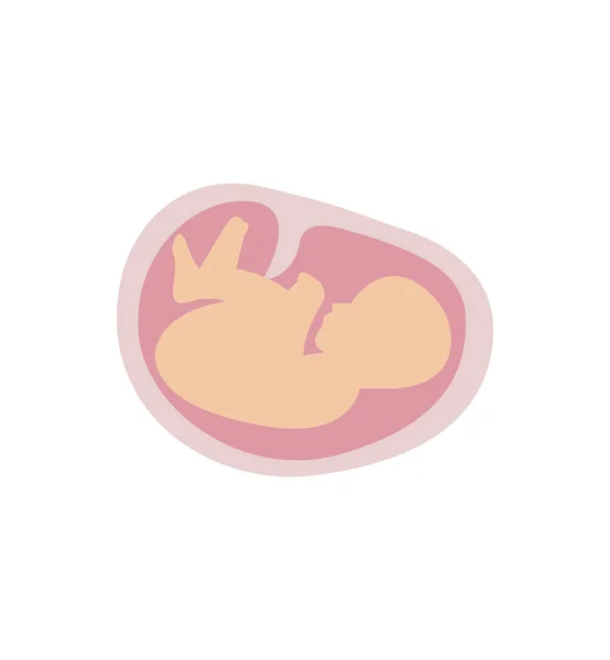 Baby Womb Icon — Stock Vector