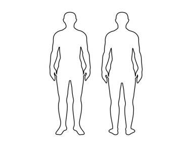 ön ve arka insan vücudu