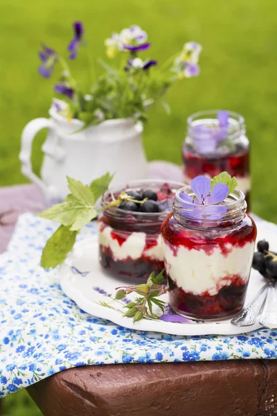 Burk av färsk Hemgjord yoghurt med bär mogna för frukost — Stockfoto