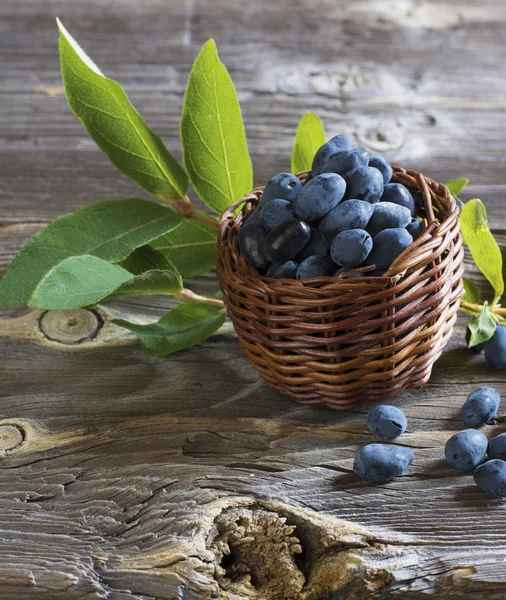 Berries ripe garden honeysuckle on a dark wooden background — Stock Photo, Image