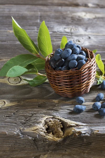 Berries ripe garden honeysuckle on a dark wooden background — Stock Photo, Image