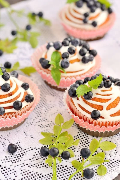 Homemade cupcakes with icing and blueberries — Stock Photo, Image