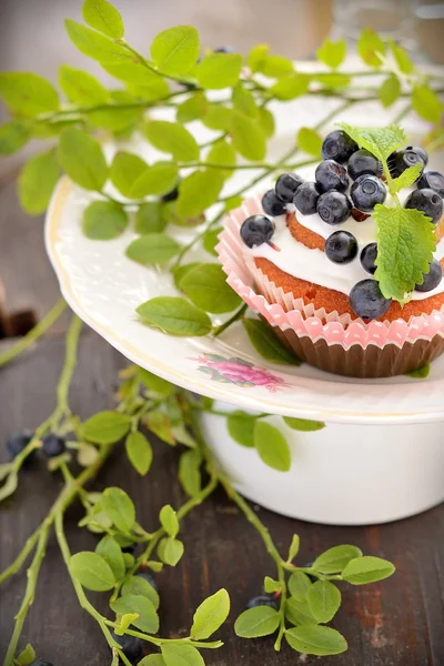 Cupcakes maison avec glaçage et bleuets — Photo