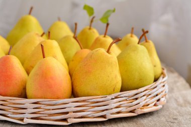 armut bir hasır plaka