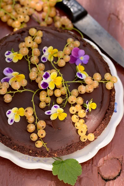 Chocolate tart with currants — Stock Photo, Image