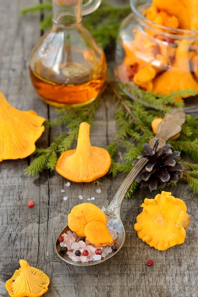 Funghi di finferli sottaceto — Foto Stock