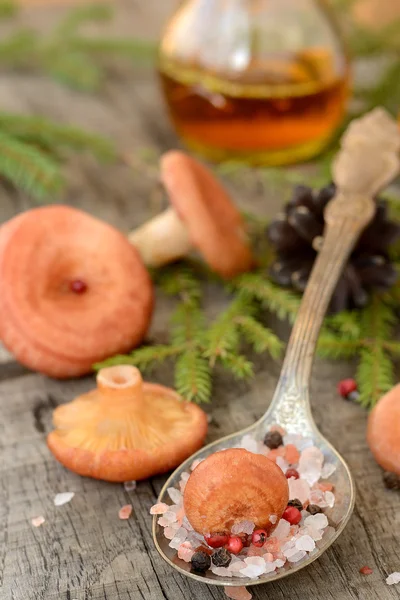 Coral milky cap mushroom background