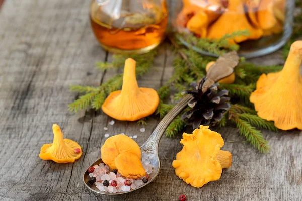 Pickled chanterelle mushrooms — Stock Photo, Image