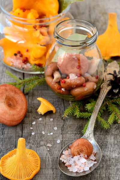 Tarro de rebozuelos y champiñones frescos — Foto de Stock