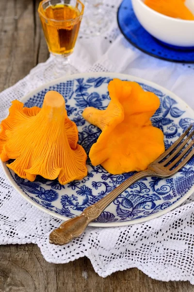 Cantharellus cibarius mantar mavi tabak içinde — Stok fotoğraf