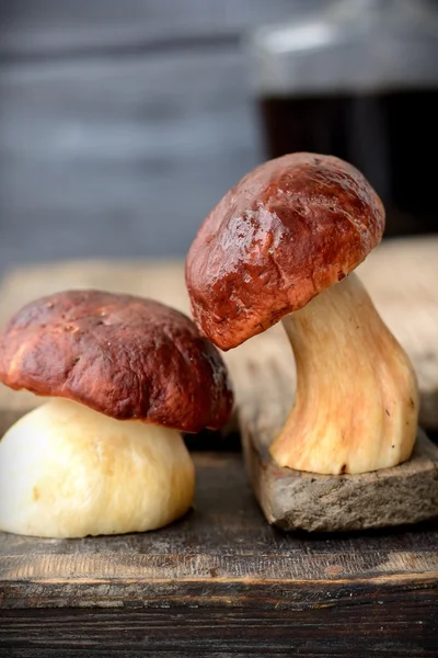 Ceps cutting — Stock Photo, Image