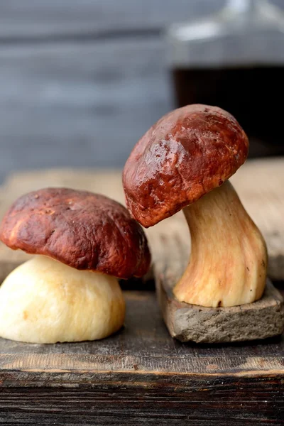 Ceps cutting — Stock Photo, Image