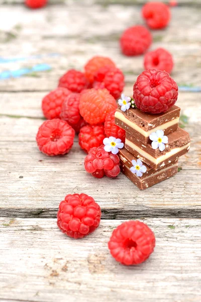 Fresh raspberries with chocolate cubes — Stock Photo, Image