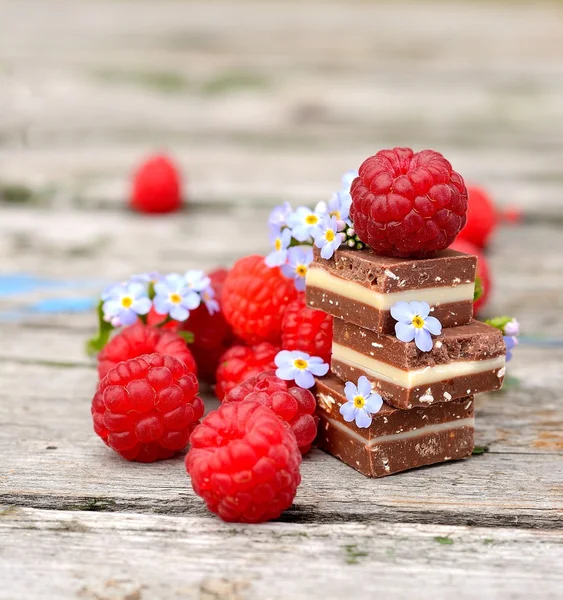 Framboises fraîches avec cubes de chocolat — Photo