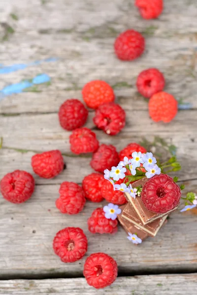 Fresh raspberries with chocolate cubes — Stock Photo, Image