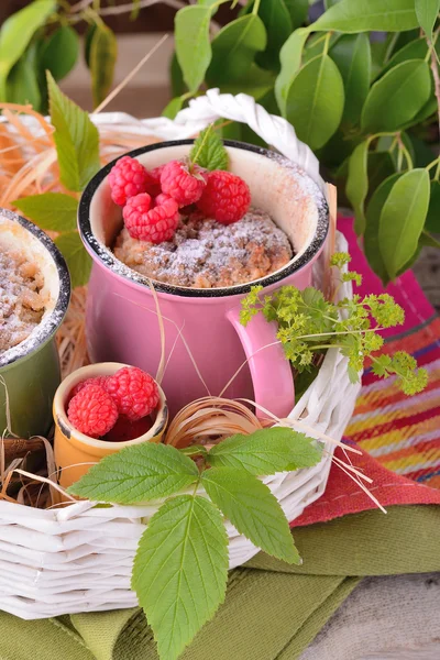 Warme Schokoladenkuchen in einem Becher mit Puderzucker bestreut — Stockfoto