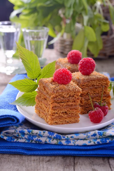 Honey cakes in the shape of squares decorated with fresh raspberries and mint leaves — Stock Photo, Image