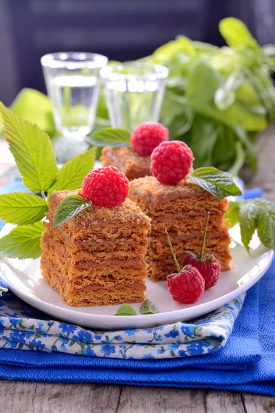 Honey cakes in the shape of squares decorated with fresh raspberries and mint leaves — Stock Photo, Image