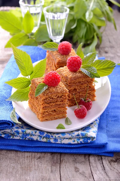 Honey cakes in the shape of squares decorated with fresh raspberries and mint leaves — Stock Photo, Image